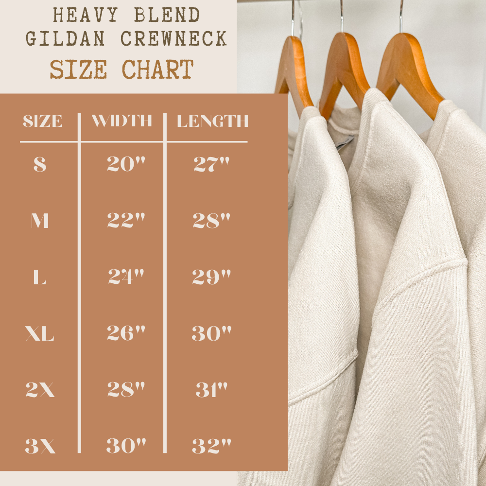 Belle Haven Co. LLC - Vendita all'ingrosso Felpa - Donna - Maglione girocollo dei Detroit Lions2