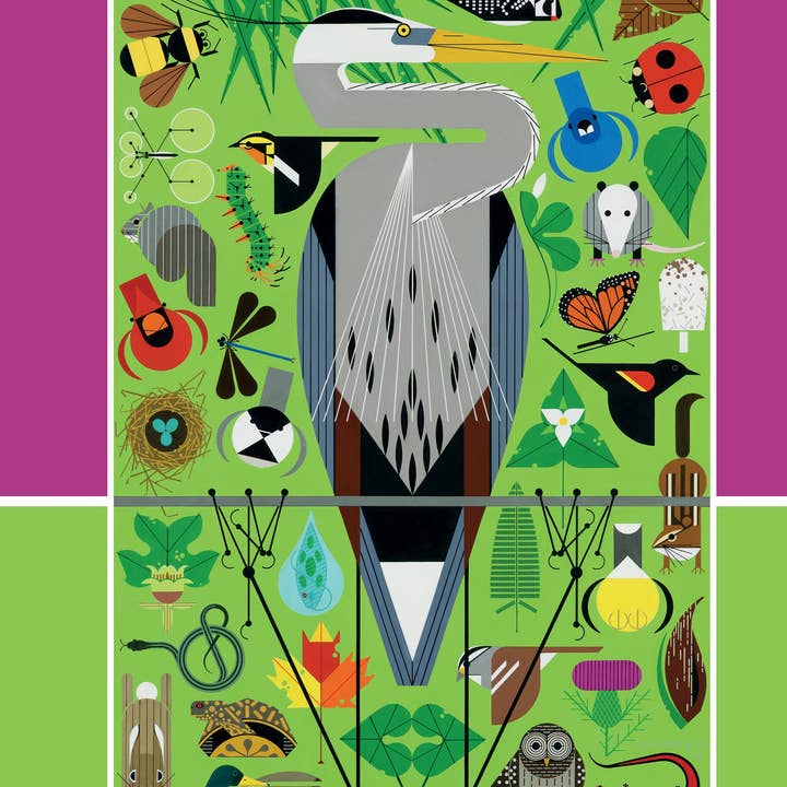 Pomegranate - Wholesale Coloring Book - Adult - Charley Harper: 50 Drawings Coloring Book
