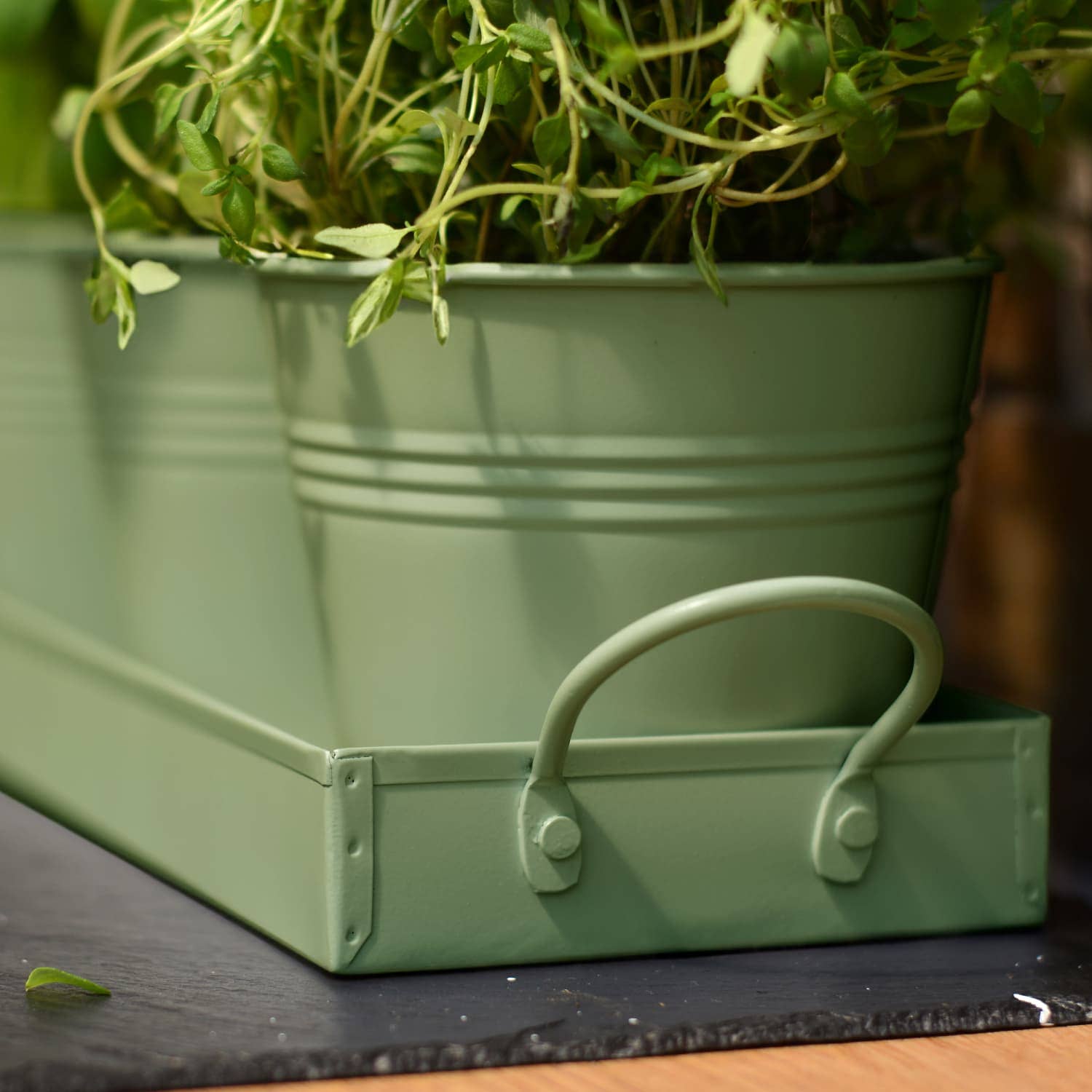 Wholesale Gifts Tomorrow – wholesale Plant pot – Set of 3 Metal Herb/Plant Pots with Drip Tray (Sage Green)5