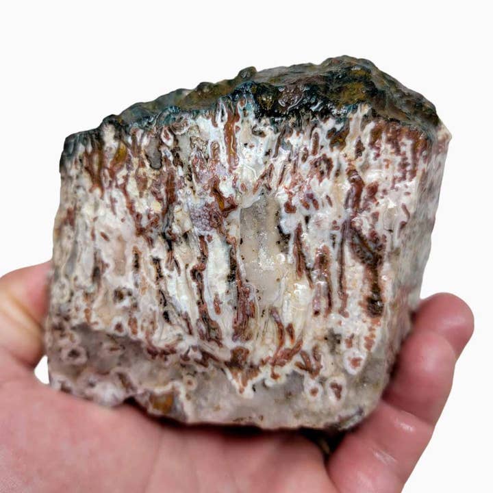 Apple Valley Agate grov bit! för wholesale av Lapidary Central