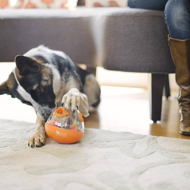 Only An Ocean Europe - Wholesale Pet Toy - Dog - P.L.A.Y Wobble Ball 2.03