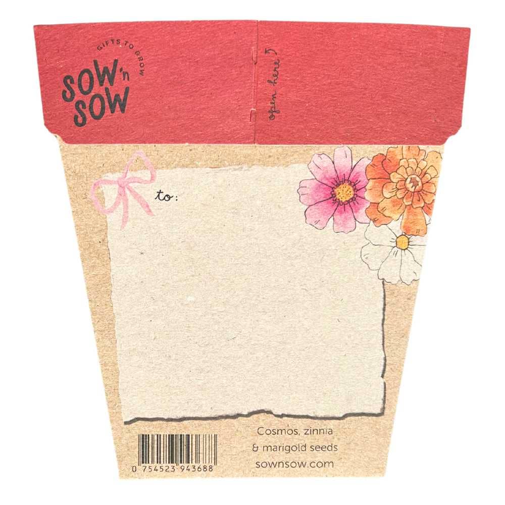 Sow 'n Sow – wholesale Plant seeds – Christmas Gift of Seeds Starter Pack (Australia Only)4