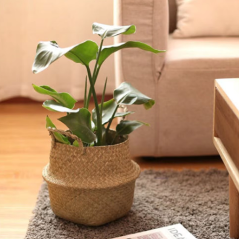 Kiyo Home - Wholesale Basket - Natural Seagrass Basket7