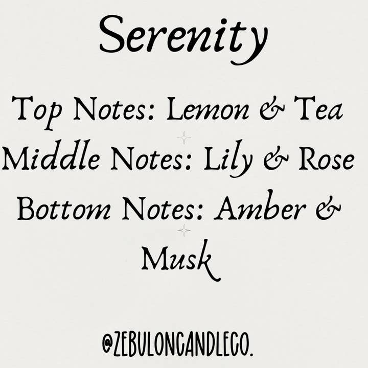 Redeemed Home & Candle – Großhandel Kerze im Glas / gefüllte Kerze – Massageöl 9 Unzen Kokosnuss-Soja-Duftkerze7