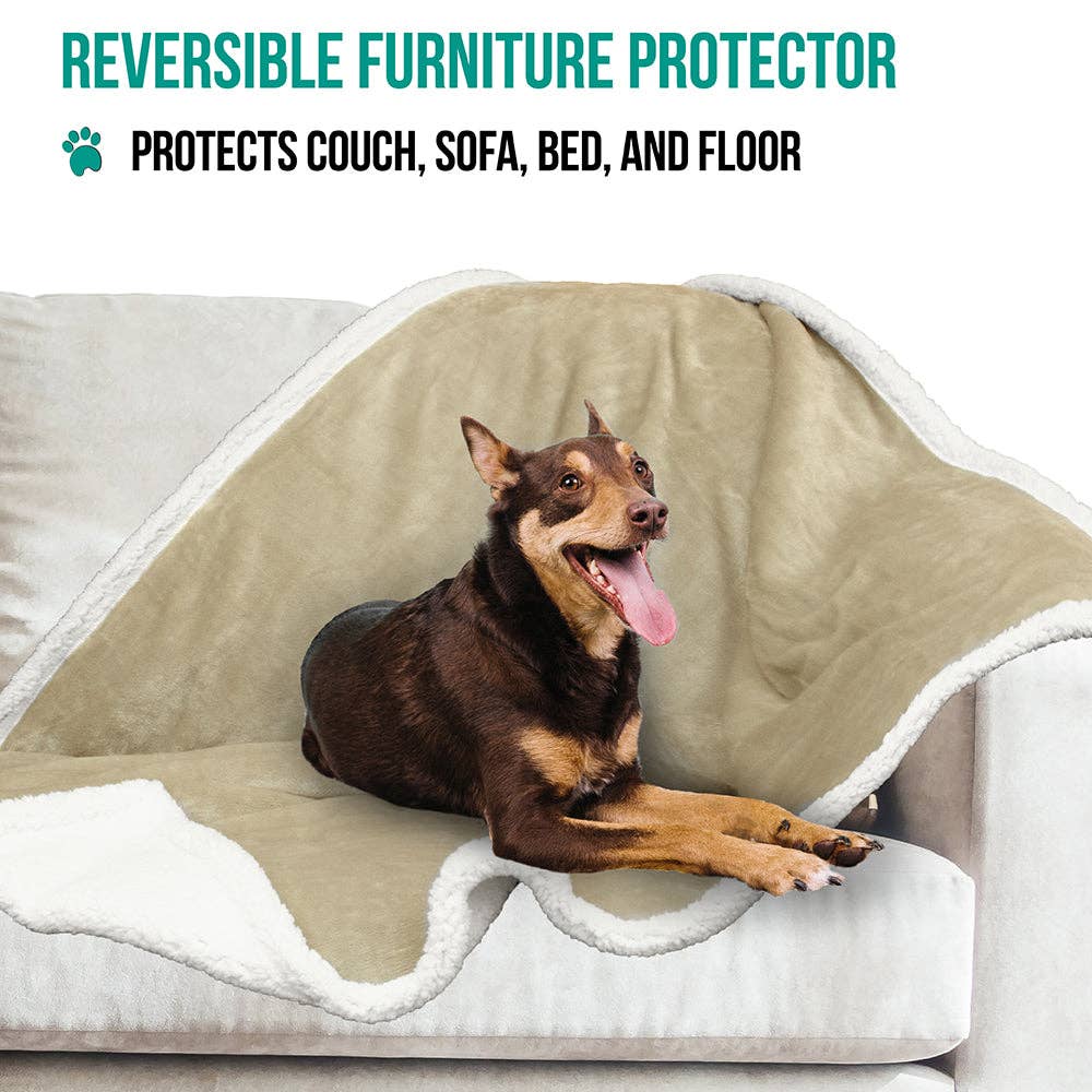 PetAmi - Vente Couverture – chat et chien - Couverture pour animaux en polaire réversible83