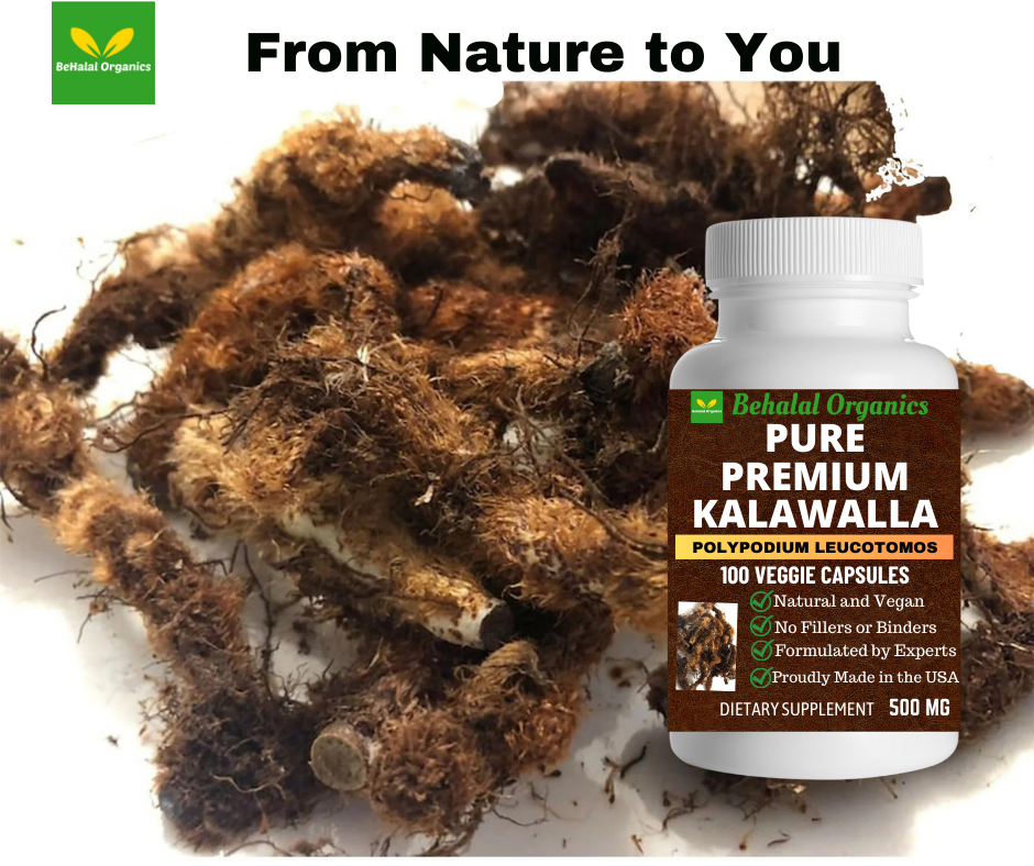 Behalal Organics - Wholesale Oral Supplement/Vitamin - Kalawalla Capsule Pure Premium Polypodium Leucotomos 500mg 16