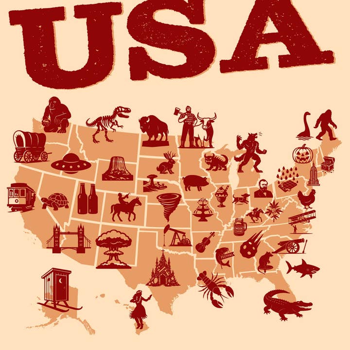 Libro Extraño y Excéntrico de EE. UU. para venta al por mayor de Willow Creek Press & Gifts