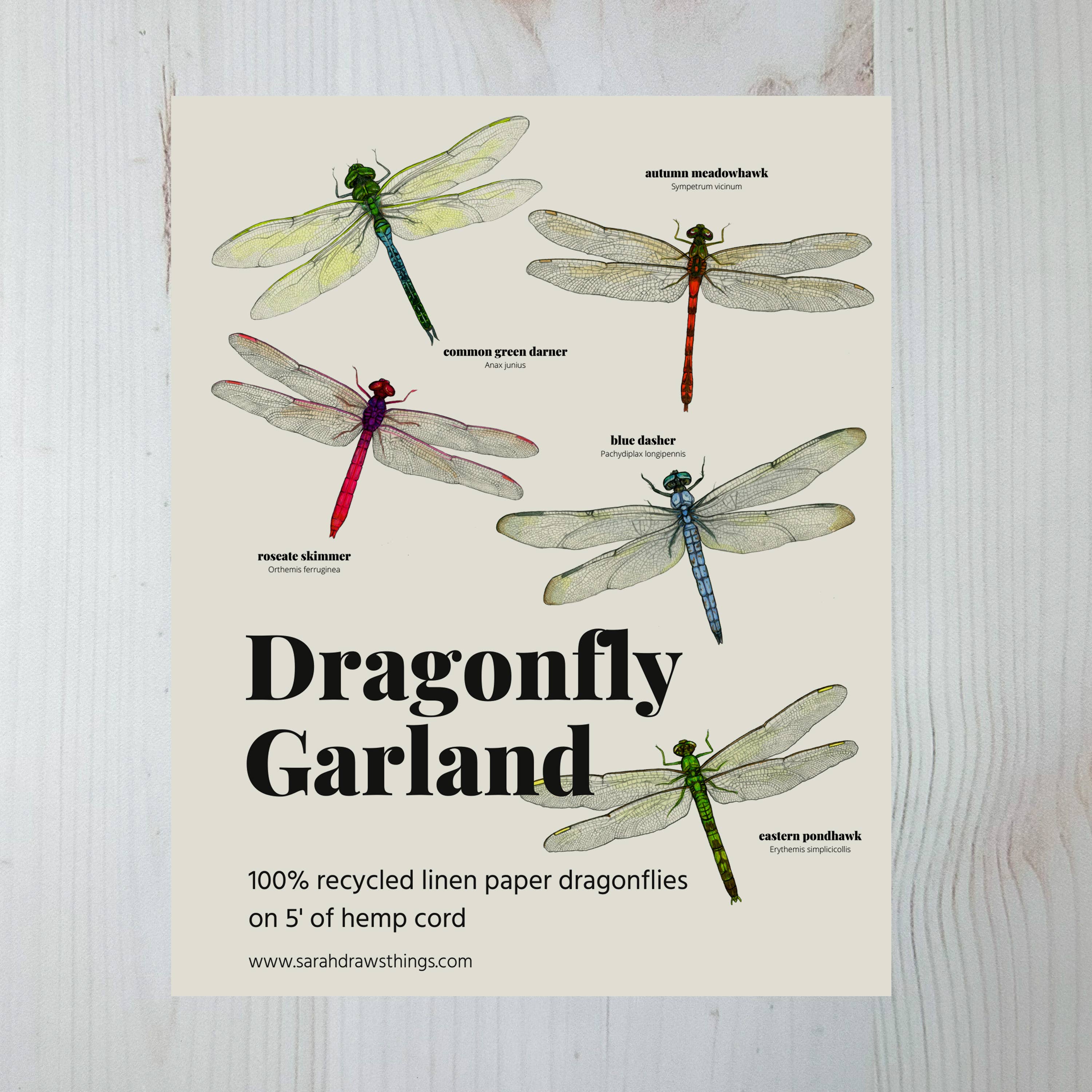 Sarah Draws Things - Wholesale Bunting/Garland - Dragonfly Illustrated Garland 2