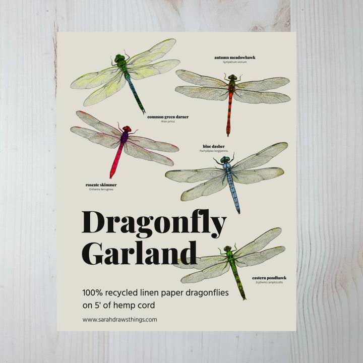 Sarah Draws Things - Wholesale Bunting/Garland - Dragonfly Illustrated Garland 2