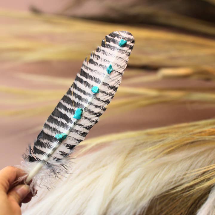 Wildflowers and Barley - Wholesale Feathers - Turquoise Studded Premium White Barred Turkey Feather