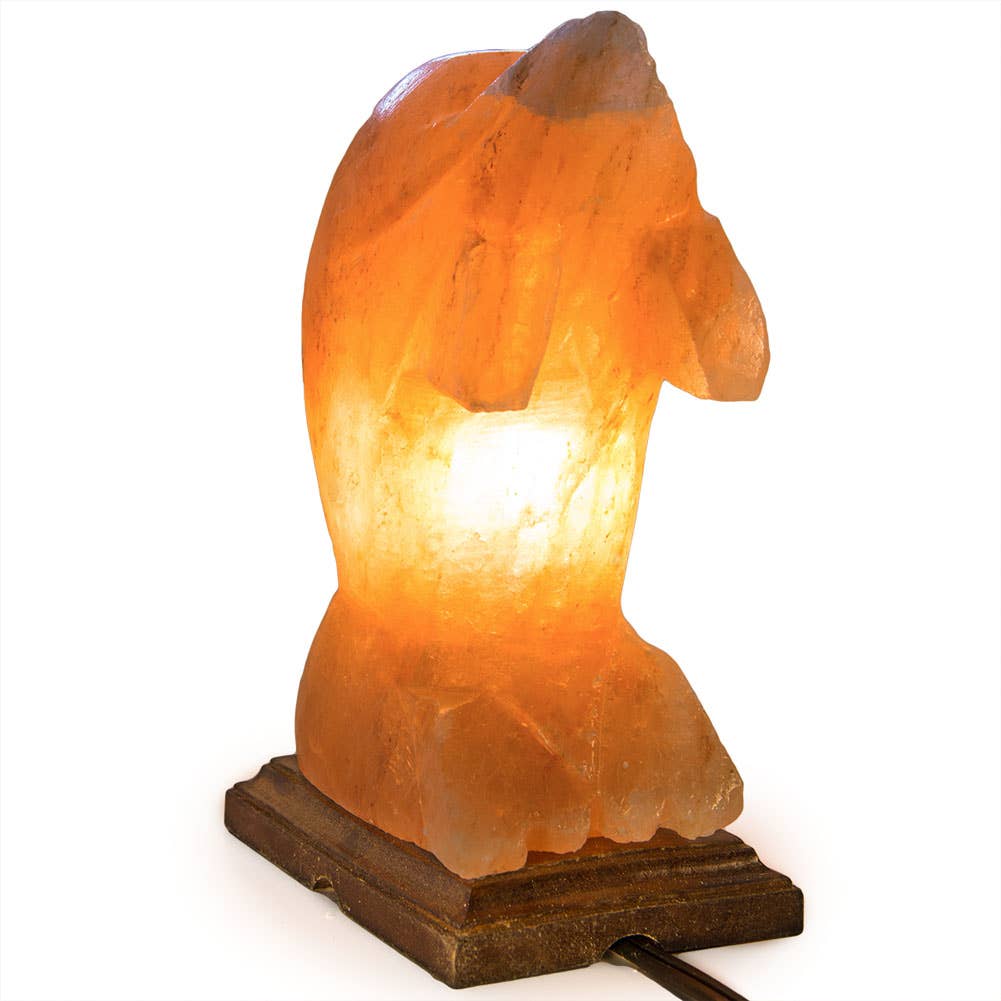 Fantasia Mining – wholesale Saltlampa – Delfinformad saltlampa - 10" genomsnitt. - sladd, glödlampa, dimmer3