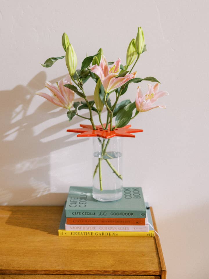 Star Flower Frog - Red for wholesale by St.Bingo