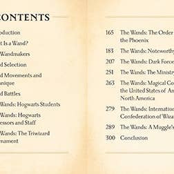 Insight Editions - Wholesale Book - Adult - Harry Potter: The Mini Book of Wands