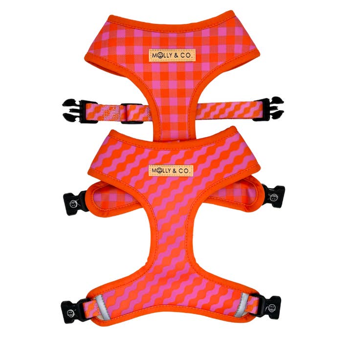 Mango - Arnés Reversible para Perros para venta al por mayor de Molly & Co.