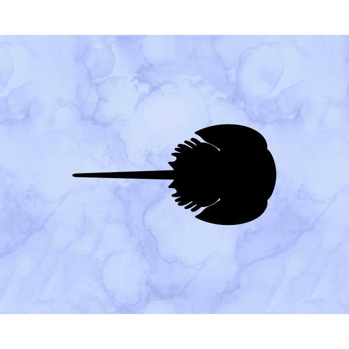 Horseshoe Crab Silhouette Decal (2") for wholesale by Sticking with You