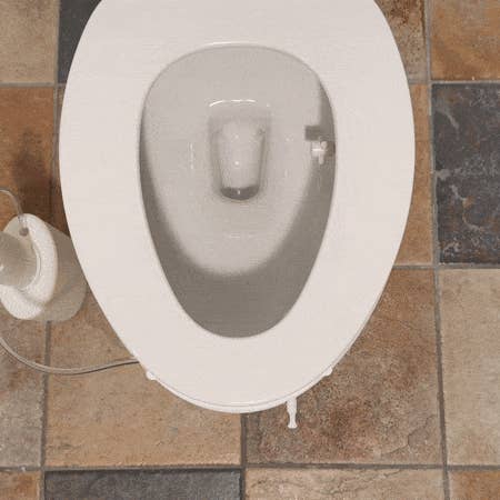 PortaBidets - Wholesale Body Wash/Shower Gel - Extra Water Wands1