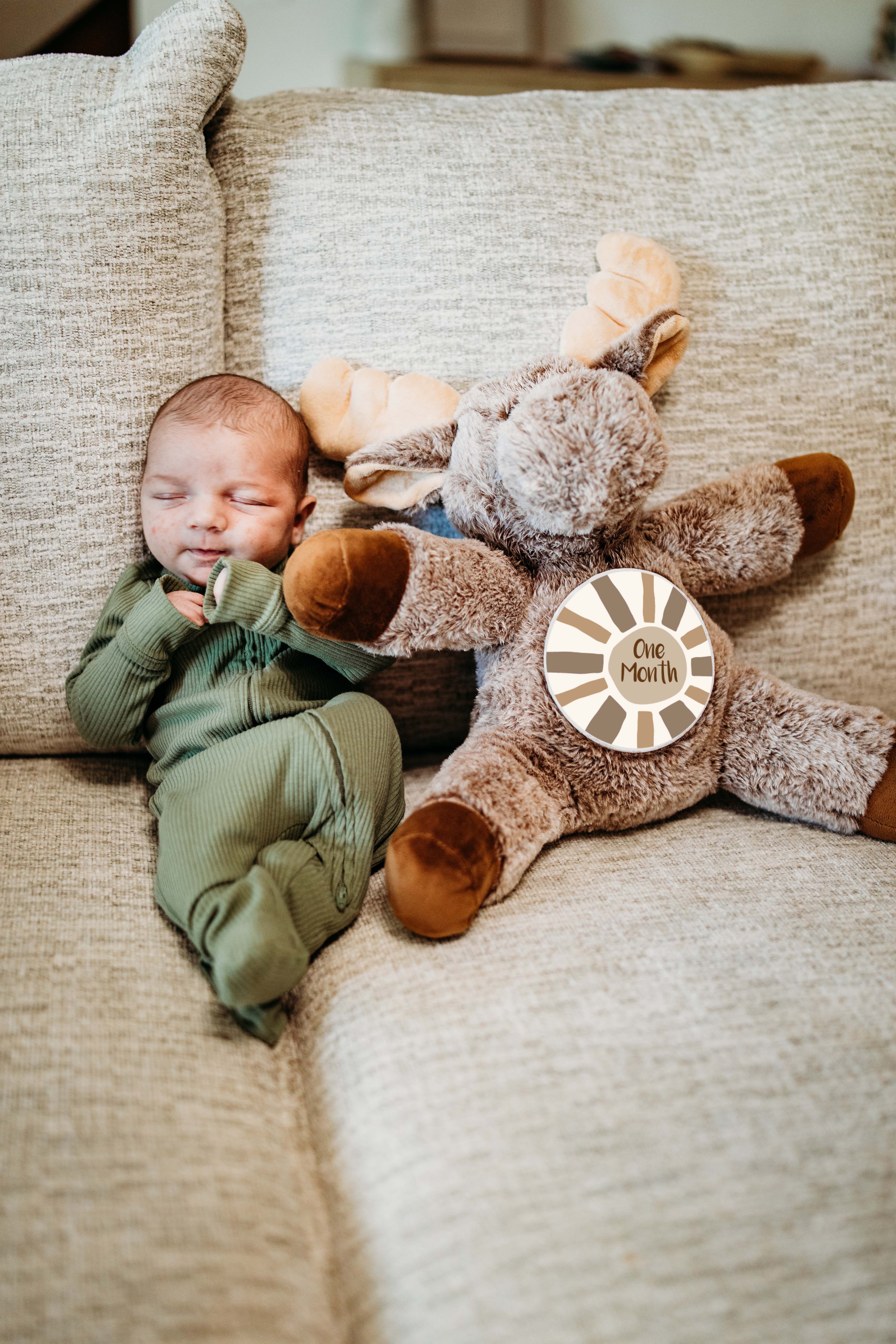 Grow With Me Baby Co - Wholesale Stuffed/Plush Toy - Kids & Baby - Monthly Milestone Discs, Moose Stuffed Animal5