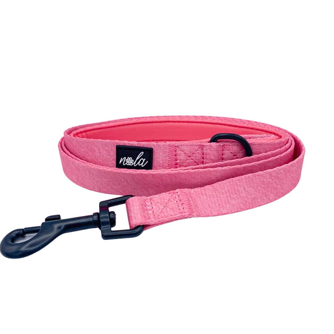 Love Nala - Wholesale Hondenriem - Hond - Catwalk collectie - Halster met roze veren1