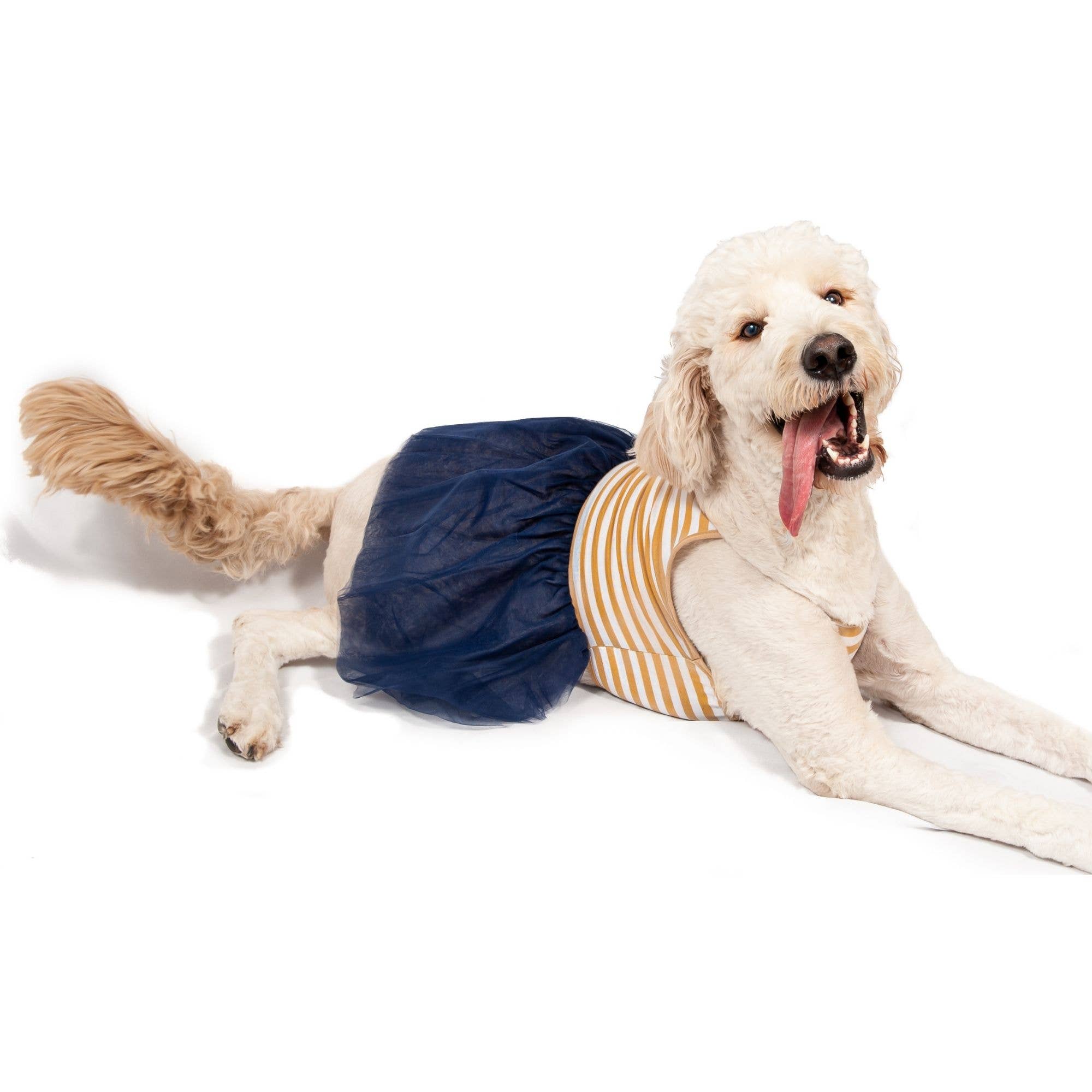 Midlee Designs – Engroshandel Kjole - Hund – Midlee Elegant Tan & Hvid Stripe Tutu Stor Hund Kjole3
