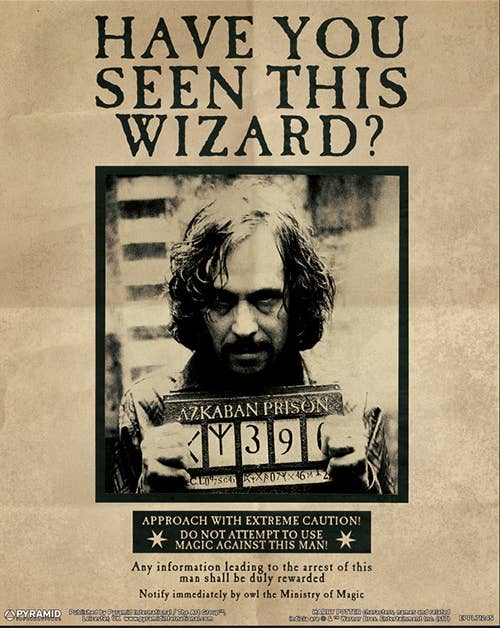 Pyramid International - Wholesale Poster - Harry Potter (Harry & Sirius) 3D Lenticular2