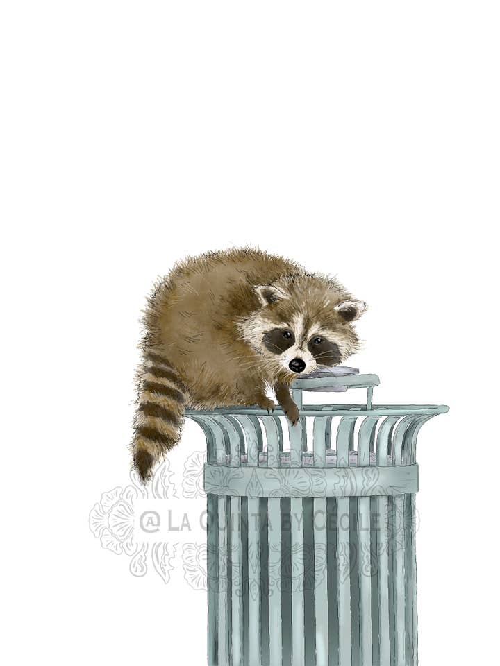 “Ricky Racoon” map for wholesale by La Quinta by Cécile