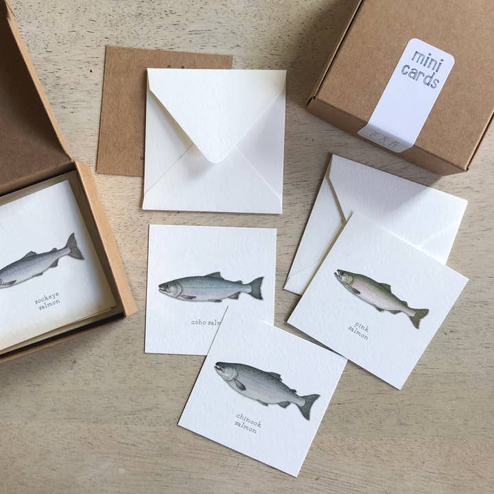Mini Cards Set / Fish . Salmon (Species) for wholesale by Yeesan Loh