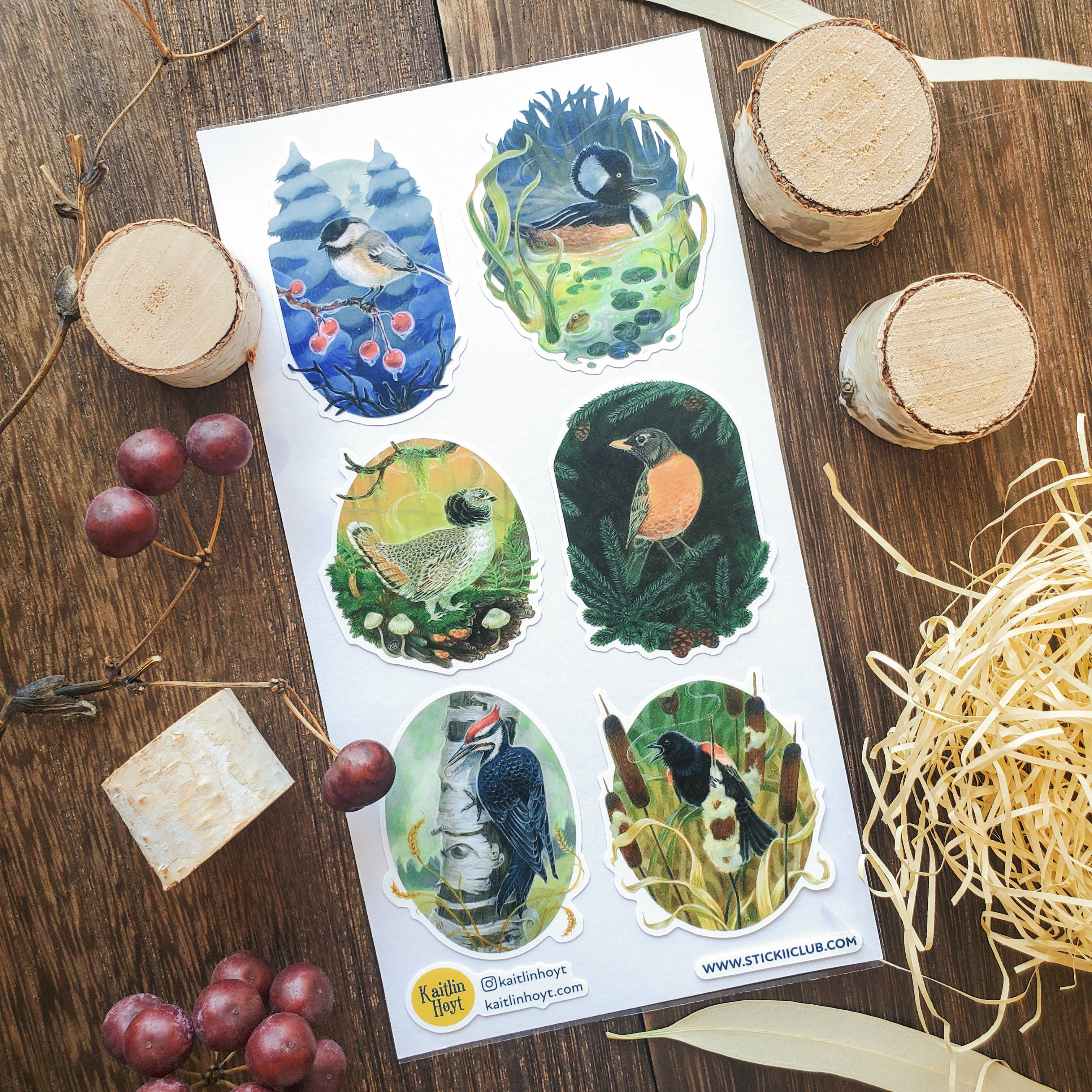 STICKII - Wholesale Sticker - Songbirds of the Seasons Sticker Sheet1