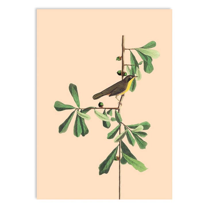 Sommer Miniprint for engroshandel hos 30x40