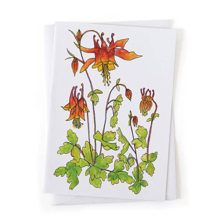 Wild Columbine Wildflower Botanical Native Plant 5x7 Card for wholesale by Wander & Gather