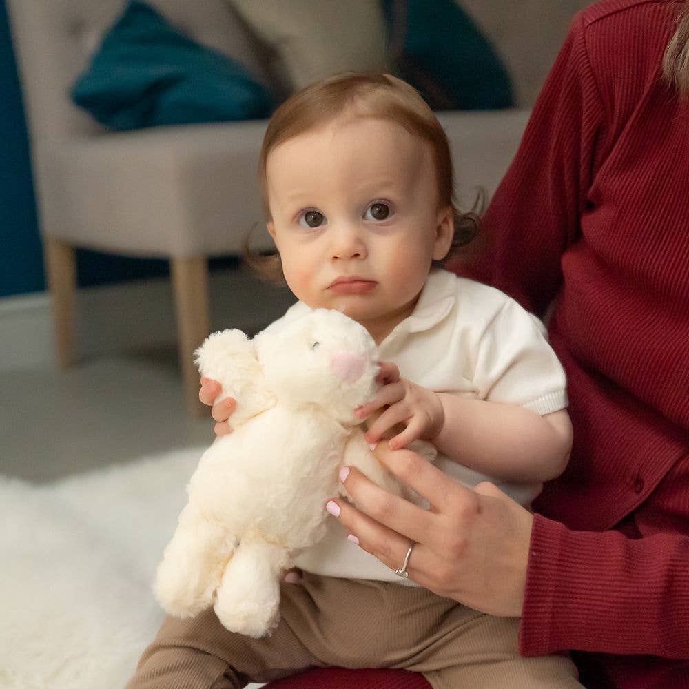 Ziggle Baby - Wholesale Stuffed/Plush Toy - Kids & Baby - Cream Bunny Plush Toy5