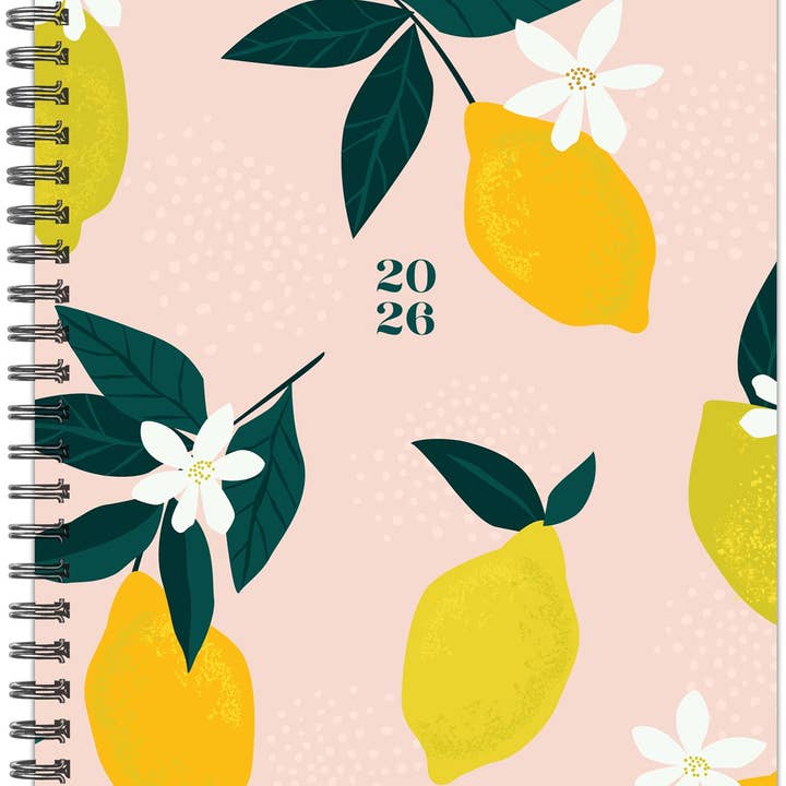Citrus 2026 6.5" x 8.5" Weekly Monthly Softcover Planner for wholesale by Willow Creek Press & Gifts