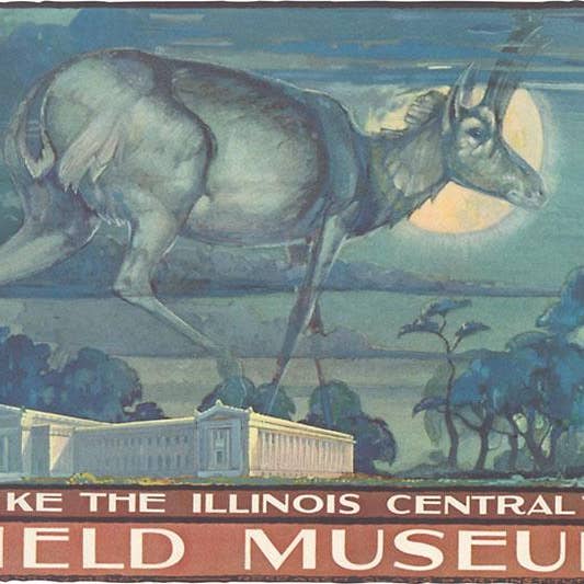 Art Print AM-173 Poster for Field Museum with Horned Antelop for wholesale by Found Image Press