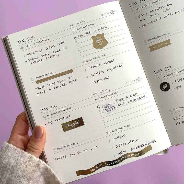 Blush And Gold – Großhandel Aufkleber – Self-Care-Aufkleberpaket (3 Blatt)6