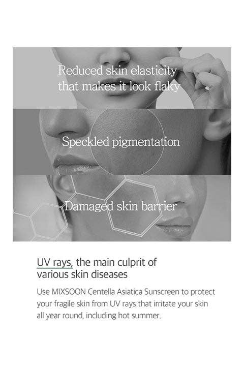 Palace Beauty Galleria - Wholesale Sunscreen - mixsoon Centella Sun Cream 50g2