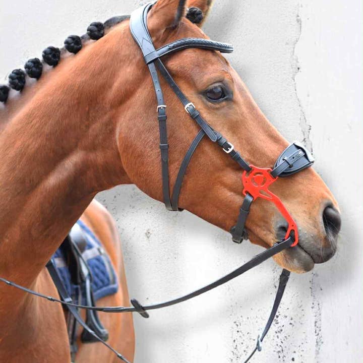 Hackamore bridon sans mors - Cuir italien excl. branches pour la vente par EPONIA EQUESTRIAN LIFESTYLE