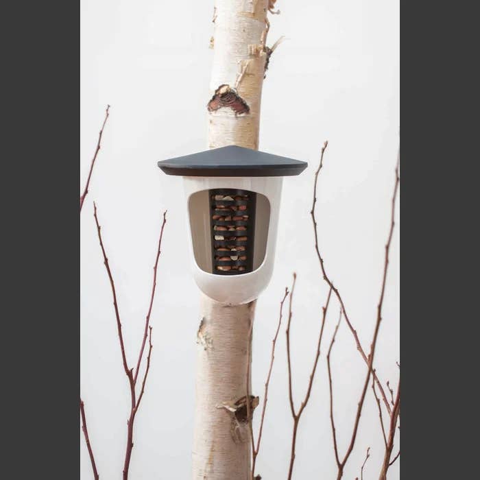Hello Multi plastic bird feeder for wholesale by SingingFriend
