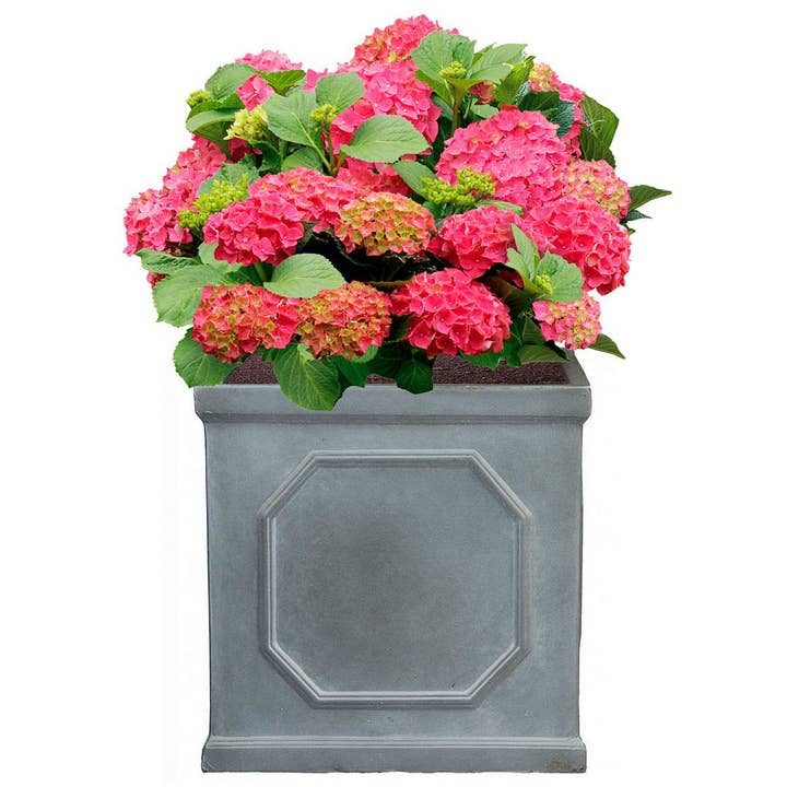 Idealist Lite Fibrestone Planters - Vente Jardinière - IDEALIST Chelsea Box Pot carré en pierre légère en faux plomb