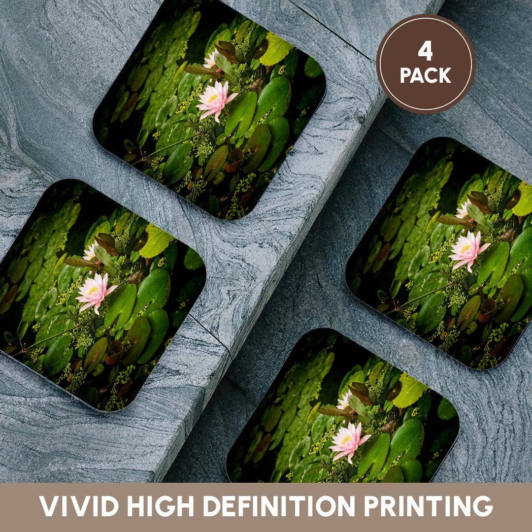 3dRose - Wholesale Coasters - 3dRose, Beautiful pink water lily flower in an artificial pond, Coaster12
