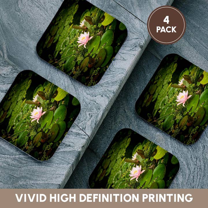 3dRose - Wholesale Coasters - 3dRose, Beautiful pink water lily flower in an artificial pond, Coaster12