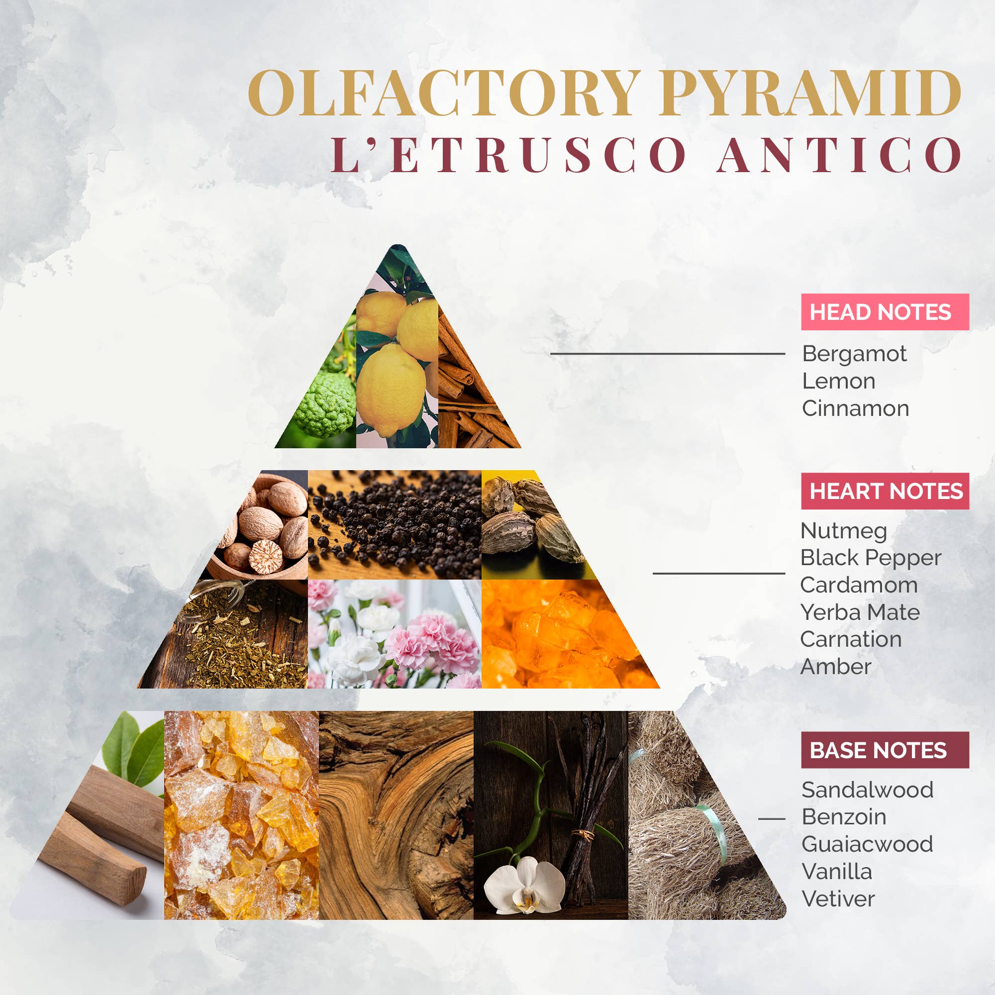 Logevy Firenze 1965 - Wholesale Geurstokjes - Geur voor de Omgeving L'Etrusco Antico 1000ml4