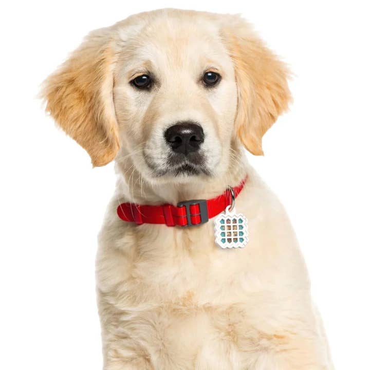 NATPAT - Wholesale Pet supplement – Cat/dog - NATPAT Pet Flea Repellent Stickers: Natural Pet Care Patches7