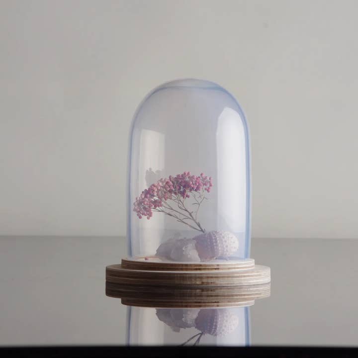 Cloche pour la vente par Albi.Glassware