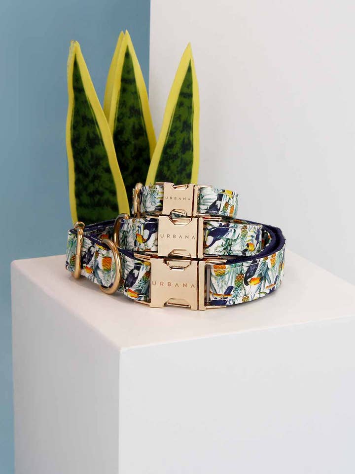 Tropical Jungle Dog Collar for wholesale by Urbana Pet Boutique