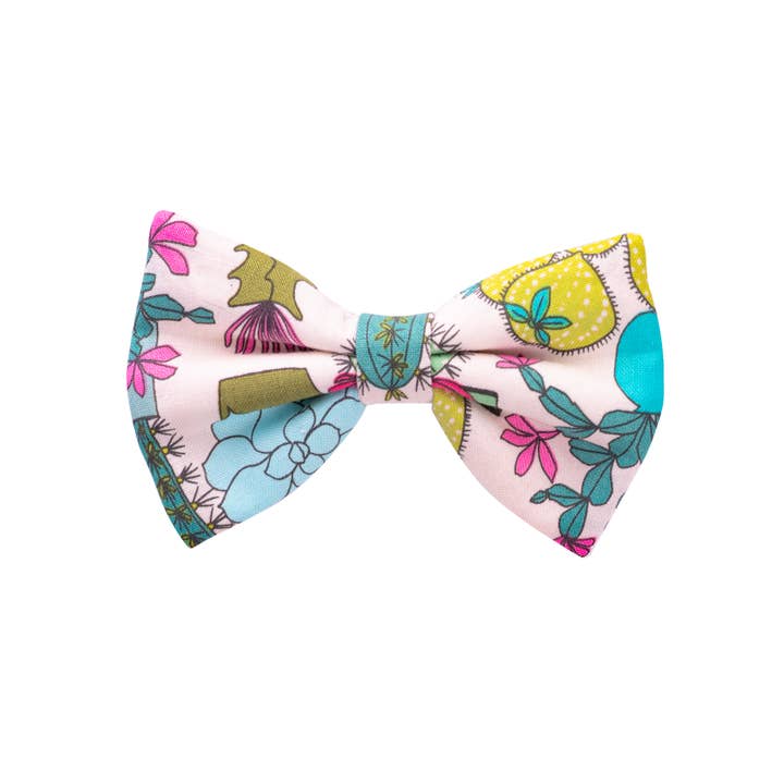 Kaktus rosetter för wholesale av Lola’s Classic Babies LLC