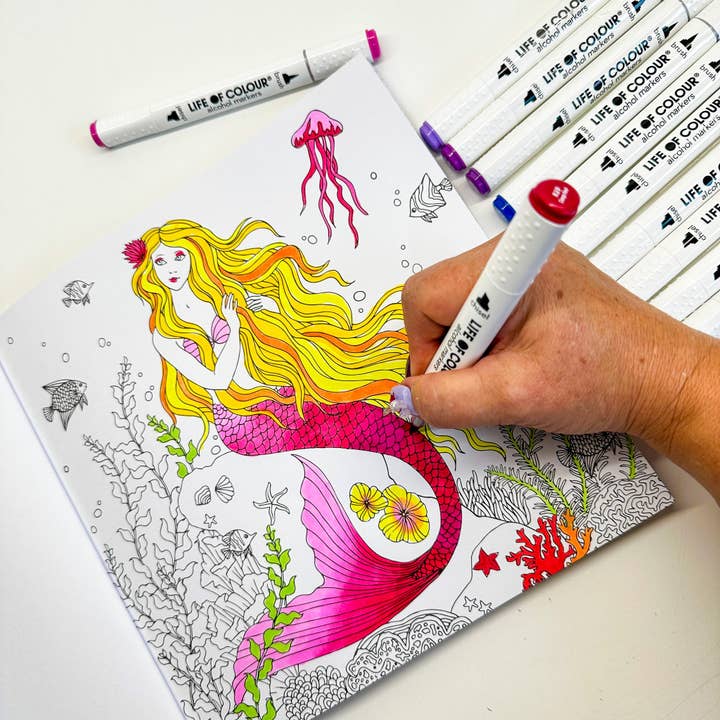 Life of Colour - Wholesale Marker - Art Markers - 24 Alcohol Based, Dual Tip Markers for Colouring9