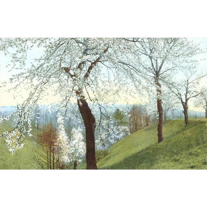 Found Image Press - Wholesale Sticker - Sticker LD-08 Cherry Blossoms on Grassy Slopes
