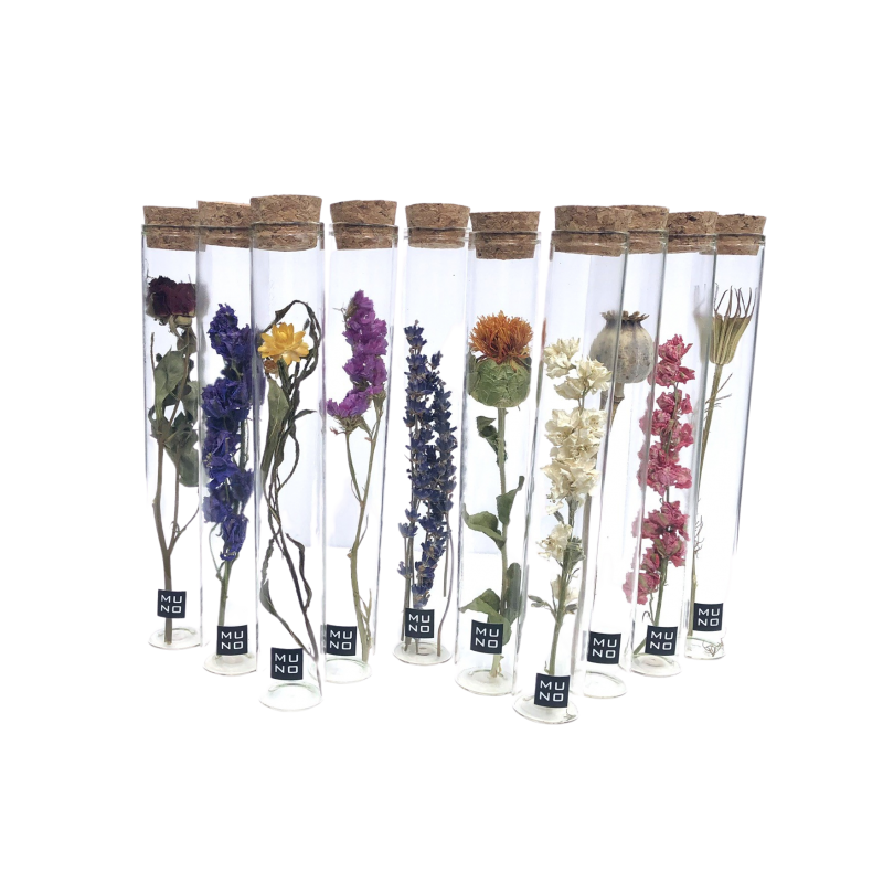 Muno - Wholesale Dried/Pressed Flowers - TUBE 20 CM WITH DRIED FLOWER - Gift2