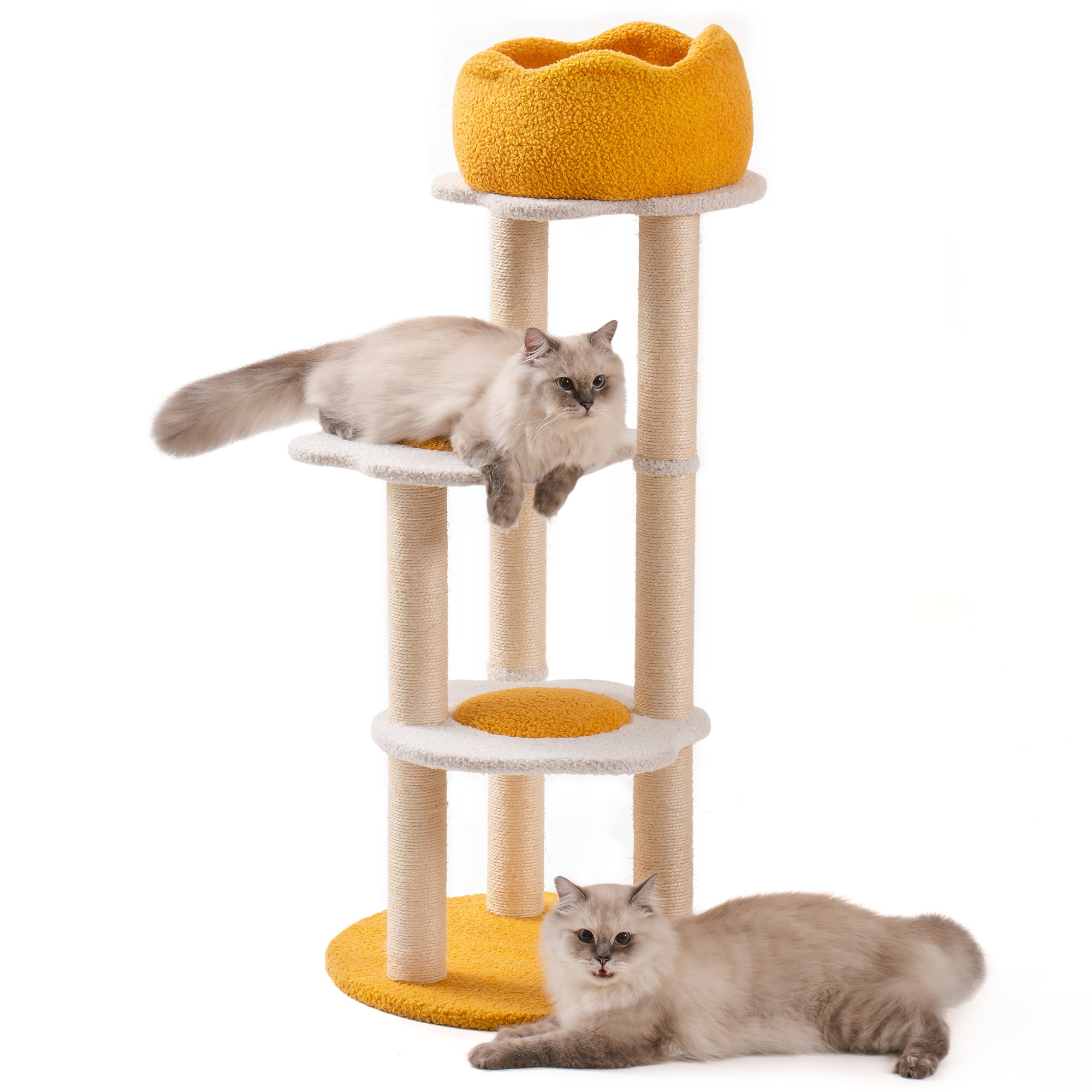 Robud & Mewoofun Official Store – Coçador de gato - Gato por atacado – Torre para Gatos Amarela com Cama Removível e Arranhador de Sisal1