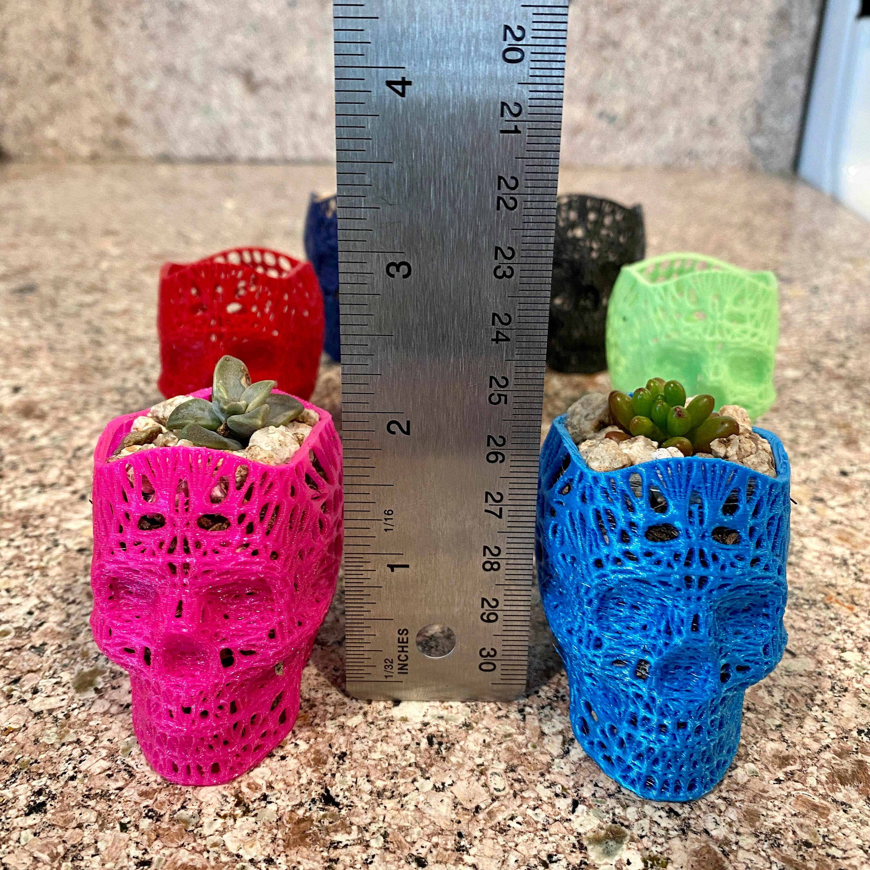 NumanPrints - Wholesale Plant Pot - 3D Printed Succulent Skull Planter Pot Small Indoor2