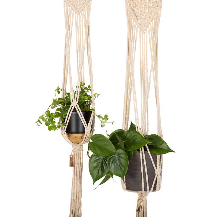The Little Botanical - Wholesale Plant Pot - Natural Macrame Plant Hanger2